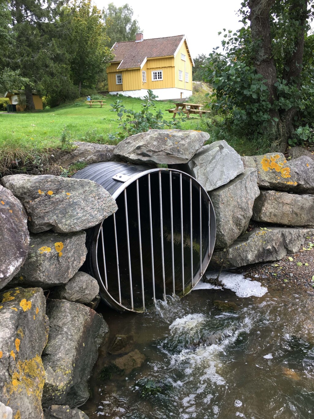 De store vannverkene har trygt drikkevann. Arve Heistad vil ha mer kunnskap med tanke på områder med små, private vannforsyningsløsninger og utslipp fra spredte avløpsanlegg. De store vannverkene har trygt drikkevann. Arve Heistad vil ha mer kunnskap med tanke på områder med små, private vannforsyningsløsninger og utslipp fra spredte avløpsanlegg.