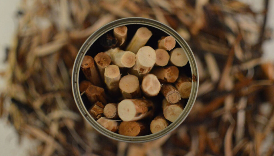 Naturen som læringsarena. I ressursbasen kan du blant annet få inspirasjon til bruk av naturmaterialer i skapende arbeid sammen med barna.