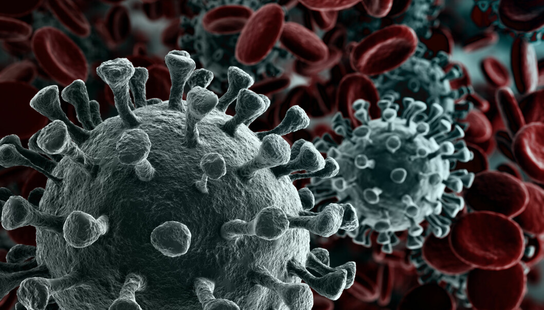 Hva vet vi egentlig om koronaviruset nå?