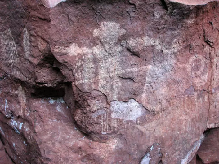En menneskelignende figur omgitt av dyr og symboler. Tegningene skal være mellom 4000 og 10 000 år gamle og har likhetstrekk med tilsvarende bergkunst funnet andre steder i Brasil. (Foto: Alexine Keuroghlian/WCS)