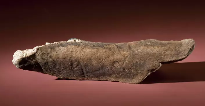 Det fossile beinet med innrissing er fra et stort dyr, kanskje en mammut. Det kan være 20 000 år gammelt. (Foto: Chip Clark/Smithsonian)