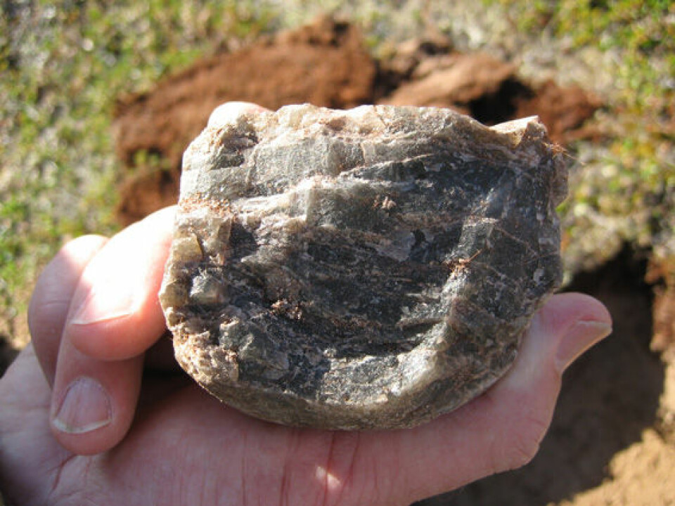 'En grovkornet kvartsittkjerne. Kvartsitt var en av råmaterialene steinaldermenneskene brukte.'