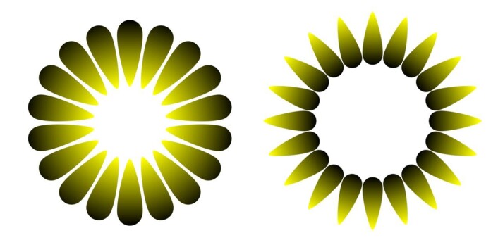 Disse to illusjonene er tilpasset etter design fra psykologen og kunstneren Akiyoshi Kitaoka. Figuren til venstre heter «Morning sunlight», og har tilsynelatende et sterkt lys i midten. Den til høyre heter «Evening dusk», og her ser midten ut til å være mørkere enn bakgrunnen rundt. De to figurene er egentlig like lyse. Klikk på forstørrelsesglasset for større versjon. (Foto: (Figurer: Bruno Laeng, Tor Endestad og Akiyoshi Kitaoka)) Disse to illusjonene er tilpasset etter design fra psykologen og kunstneren Akiyoshi Kitaoka. Figuren til venstre heter «Morning sunlight», og har tilsynelatende et sterkt lys i midten. Den til høyre heter «Evening dusk», og her ser midten ut til å være mørkere enn bakgrunnen rundt. De to figurene er egentlig like lyse. Klikk på forstørrelsesglasset for større versjon. (Foto: (Figurer: Bruno Laeng, Tor Endestad og Akiyoshi Kitaoka))