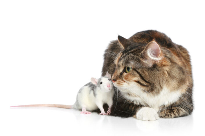 (Illustrasjonsfoto: iStockphoto) (Illustrasjonsfoto: iStockphoto)