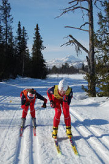 Anne-Mette Bredahl med ledsager under et skirenn. (Foto: NIH) Anne-Mette Bredahl med ledsager under et skirenn. (Foto: NIH)