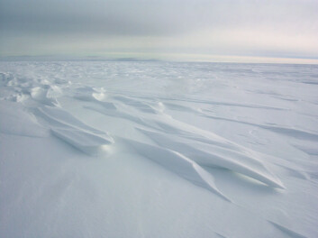 "Polarlandskap. (Foto: Norsk Polarinstitutt)" "Polarlandskap. (Foto: Norsk Polarinstitutt)"