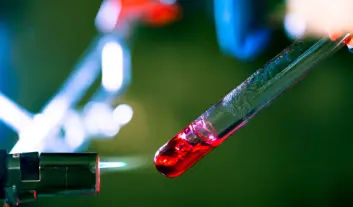 Om forskningen handlet litt mer om reaksjoner, og litt mindre om klingende mynt, er det ikke umulig at Bakken ville fortsatt som forsker. (Illustrasjonsfoto: Colourbox) Om forskningen handlet litt mer om reaksjoner, og litt mindre om klingende mynt, er det ikke umulig at Bakken ville fortsatt som forsker. (Illustrasjonsfoto: Colourbox)