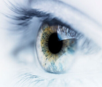 (Illustrasjonsfoto: iStockphoto) (Illustrasjonsfoto: iStockphoto)