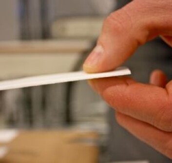 Ny teknologi gjør det nå mulig å lage innmaten i skien med en vekt på ikke mye over 100 gram. Materialet er hentet fra romfart og Formel 1-biler. (Foto: Bård Amundsen) Ny teknologi gjør det nå mulig å lage innmaten i skien med en vekt på ikke mye over 100 gram. Materialet er hentet fra romfart og Formel 1-biler. (Foto: Bård Amundsen)