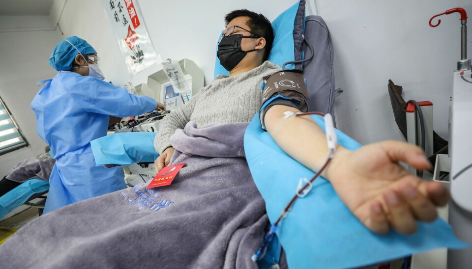 En kinesisk lege donerer blod etter selv å ha blitt frisk fra covid-19. Deler av blodet - blodplasmaet - kan kanskje hjelpe andre pasienter å bli friske.