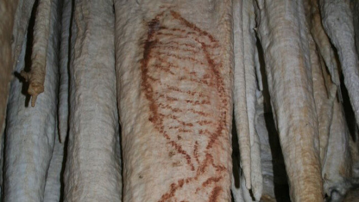 42 000 år gamle holemåleri i Cueva de Nerja i Malaga. (Foto: Fundación Cueva de Nerja) 42 000 år gamle holemåleri i Cueva de Nerja i Malaga. (Foto: Fundación Cueva de Nerja)