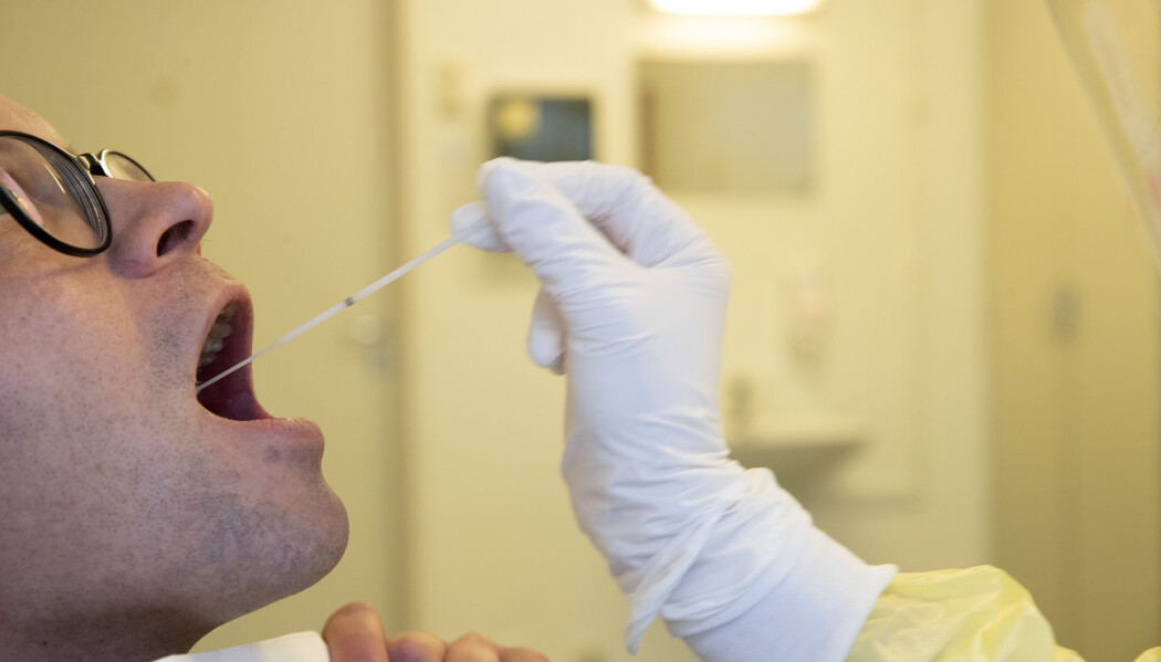 Sykehuset i Trøndelag, St. Olavs Hospital trenger ikke lenger å være bekymret for å gå tomme for testutstyr som kan påvise koronasmitte. De har laget sin egen test og kan være selvforsynte med flere hundre tester per dag. Sykehuset i Trøndelag, St. Olavs Hospital trenger ikke lenger å være bekymret for å gå tomme for testutstyr som kan påvise koronasmitte. De har laget sin egen test og kan være selvforsynte med flere hundre tester per dag.