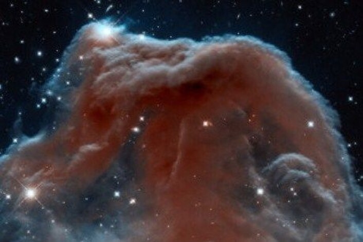 Hubble sitt portrett av stjernetåkeformasjonen Hestehovudtåka, også kjent som Barnard 33. Formasjonen ligg i stjernebiletet Orion, 1500 lysår unna jorda. (Foto: NASA, ESA, and the Hubble Heritage Team) Hubble sitt portrett av stjernetåkeformasjonen Hestehovudtåka, også kjent som Barnard 33. Formasjonen ligg i stjernebiletet Orion, 1500 lysår unna jorda. (Foto: NASA, ESA, and the Hubble Heritage Team)