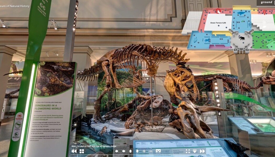 Du kan ta en virtuell vandring blant dinosaurfossiler på USAs National Museum of Natural History. Du kan ta en virtuell vandring blant dinosaurfossiler på USAs National Museum of Natural History.