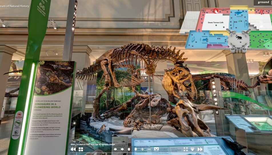 Du kan ta en virtuell vandring blant dinosaurfossiler på USAs National Museum of Natural History.
