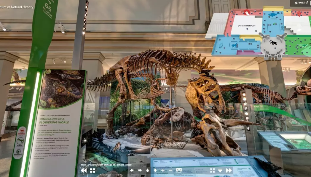 Du kan ta en virtuell vandring blant dinosaurfossiler på USAs National Museum of Natural History.