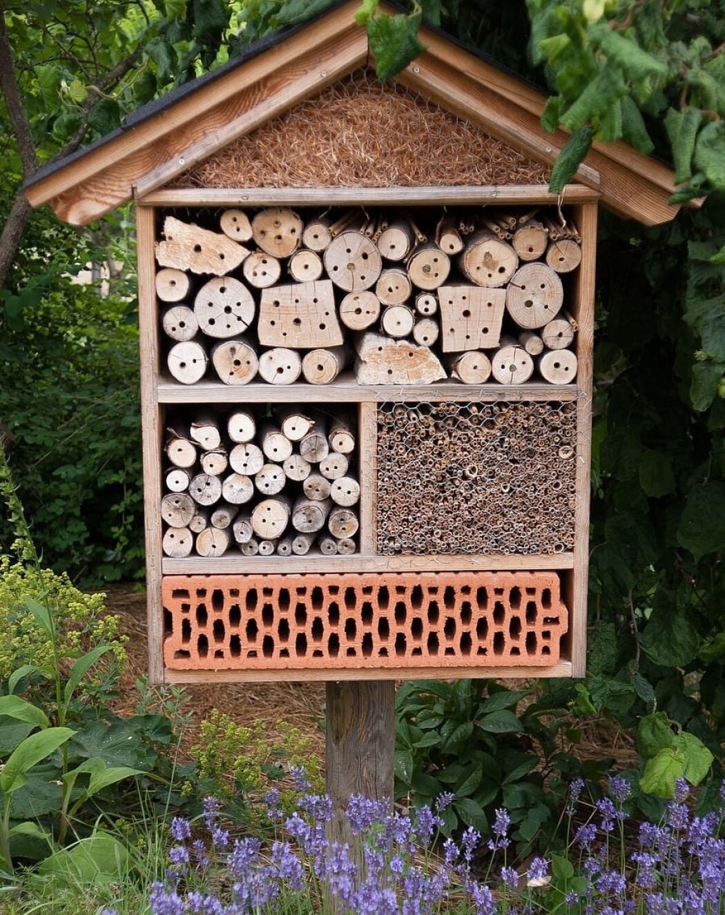 Som en reaksjon på 2000-tallets rustikke utrykk, preges dagens insektarkitektur av tydelig linjeføring og varierte fasadematerialer. Prinsippet er dog uforandret – et insekthotell består av små hulrom der solitære insekter kan gjemme eggene sine. Foto fra Piqsels.com. Som en reaksjon på 2000-tallets rustikke utrykk, preges dagens insektarkitektur av tydelig linjeføring og varierte fasadematerialer. Prinsippet er dog uforandret – et insekthotell består av små hulrom der solitære insekter kan gjemme eggene sine. Foto fra Piqsels.com.