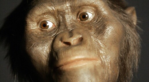 Lucy og slekten hennes hadde hjerner som aper, men en lengre barndom, slik som mennesker