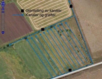 Ved å tette grøftene i myra som har blitt brukt til å tømme den for vann, vil myra igjen forsegles etter hvert som at vannet stiger. Det vil antagelig stoppe CO2-utslippet, fordi forråtnelsen stopper opp. (Foto: (Bilde: Arne Grønlund)) Ved å tette grøftene i myra som har blitt brukt til å tømme den for vann, vil myra igjen forsegles etter hvert som at vannet stiger. Det vil antagelig stoppe CO2-utslippet, fordi forråtnelsen stopper opp. (Foto: (Bilde: Arne Grønlund))