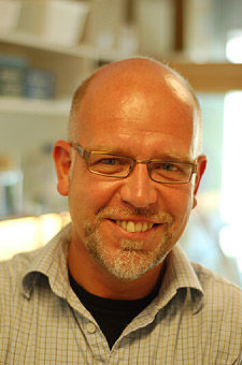 "Professor Donald Gullberg. (Foto: Lars Holger Ursin)" "Professor Donald Gullberg. (Foto: Lars Holger Ursin)"