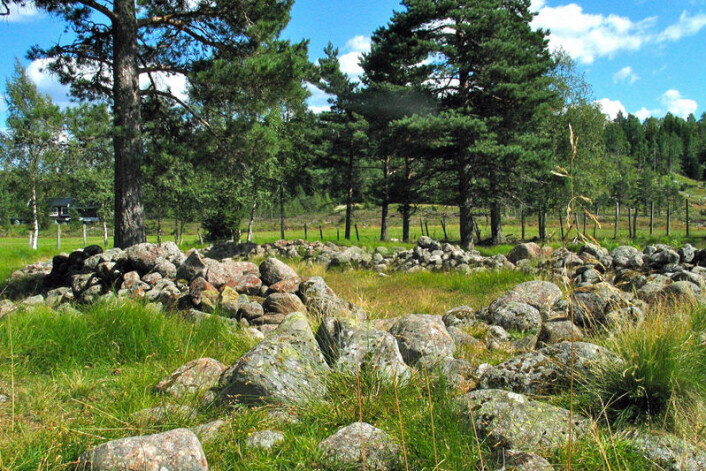 Jernaldergården Sosteli i Vest-Agder. Her ble det dyrket hamp ved inngangen til vikingtida, viser nye, overraskende funn. (Foto: Morten Teinum/Visit Sørlandet) Jernaldergården Sosteli i Vest-Agder. Her ble det dyrket hamp ved inngangen til vikingtida, viser nye, overraskende funn. (Foto: Morten Teinum/Visit Sørlandet)