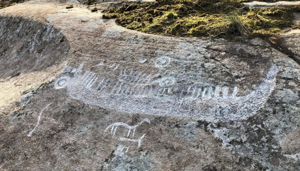 Her er det imponerende skipet de tre fant for en uke siden, blitt krittet opp. På skolen lærte du kanskje at skip som dette handlet om religion. I dag mener flere bronsealderforskere at folk i Norden for 3000 år siden faktisk kan ha bygd så store skip som dette. Med mye mannskap og last kan de ha dratt fra Sør-Norge til Danmark, Tyskland og England. Kanskje så langt som til Finnmark i nord og til Middelhavet i sør. Her er det imponerende skipet de tre fant for en uke siden, blitt krittet opp. På skolen lærte du kanskje at skip som dette handlet om religion. I dag mener flere bronsealderforskere at folk i Norden for 3000 år siden faktisk kan ha bygd så store skip som dette. Med mye mannskap og last kan de ha dratt fra Sør-Norge til Danmark, Tyskland og England. Kanskje så langt som til Finnmark i nord og til Middelhavet i sør.