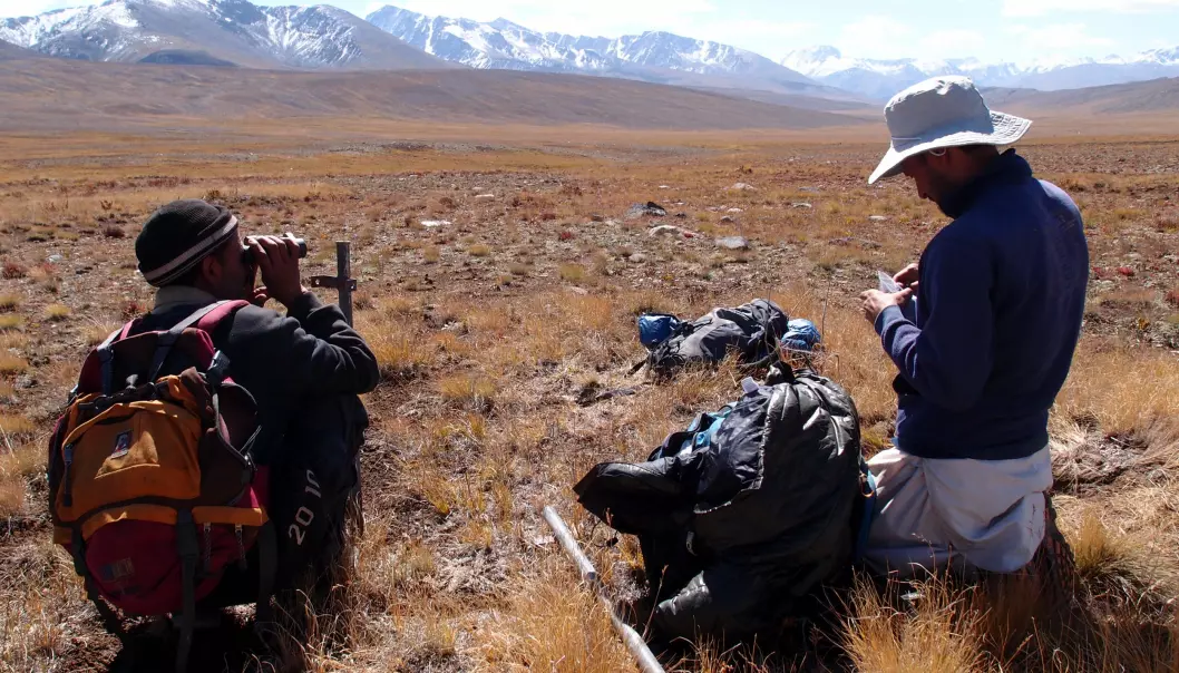 Field biologists installing wildlife cameras and collecting DNA samples in Deosai National Park.