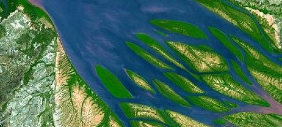 Saltvann fra Mosambik-kanalen blander seg med ferskvann fra Betsiboka-elva på Madagaskar. Terra/ASTER/NASA and NASA Earth Observatory