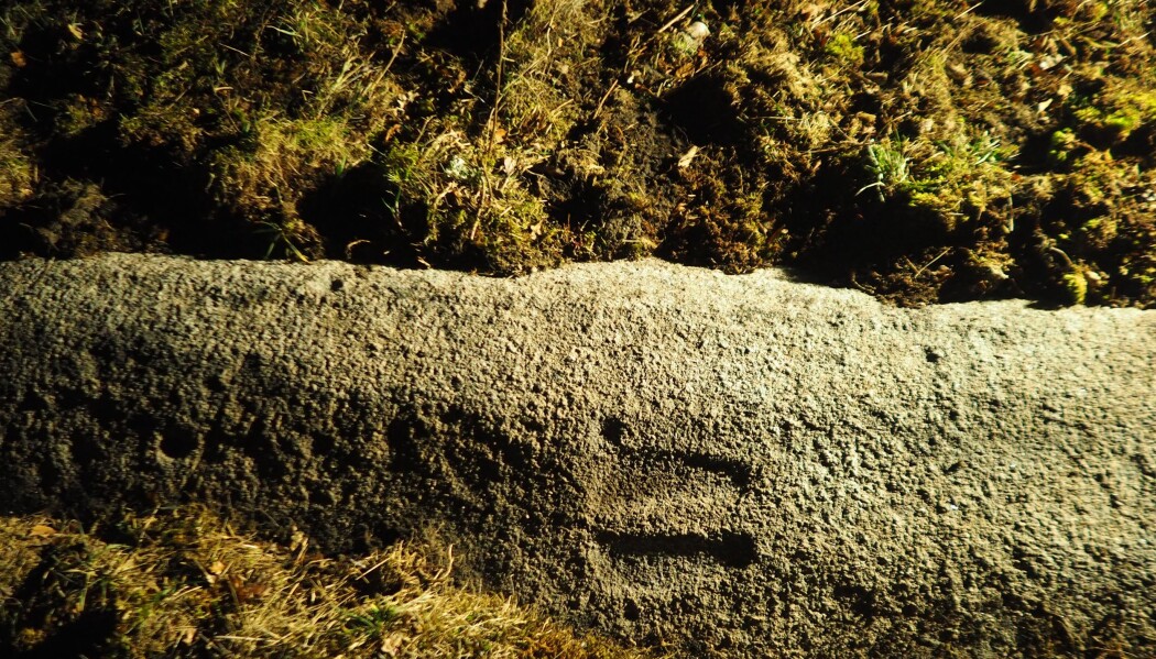 Føtter gir deg en følelse av menneskene for veldig lenge siden. For 3000 år siden etterlot folk seg mange slike hender og føtter i helleristningene sine. «Jeg var her» vil de kanskje fortelle oss. Føtter gir deg en følelse av menneskene for veldig lenge siden. For 3000 år siden etterlot folk seg mange slike hender og føtter i helleristningene sine. «Jeg var her» vil de kanskje fortelle oss.