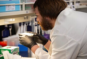 Nå jobber forskere over hele verden for å finne en korona-medisin