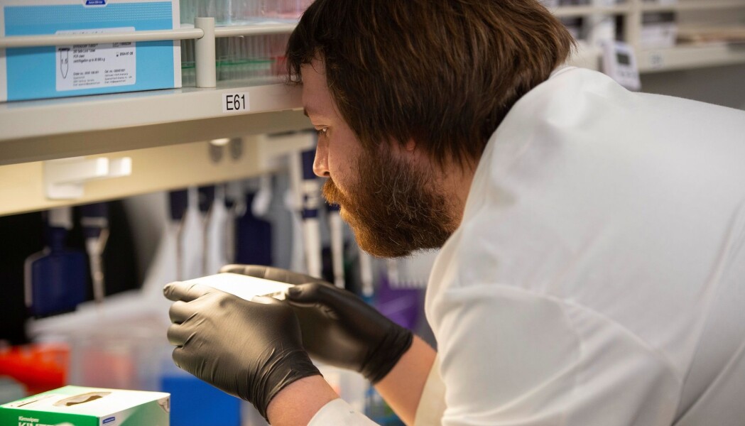 Denne forskeren ved University of Minnesota i USA er en av mange som prøver å finne ut om malaria-medisin kan brukes mot korona. Denne forskeren ved University of Minnesota i USA er en av mange som prøver å finne ut om malaria-medisin kan brukes mot korona.