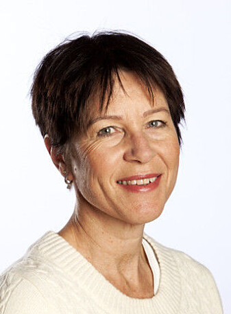 Marina Ghersetti tror at kritikken kan komme til å øke mot den svenske strategien. Marina Ghersetti tror at kritikken kan komme til å øke mot den svenske strategien.