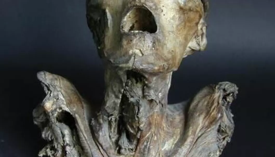 Mumiehode avslører avansert teknikk