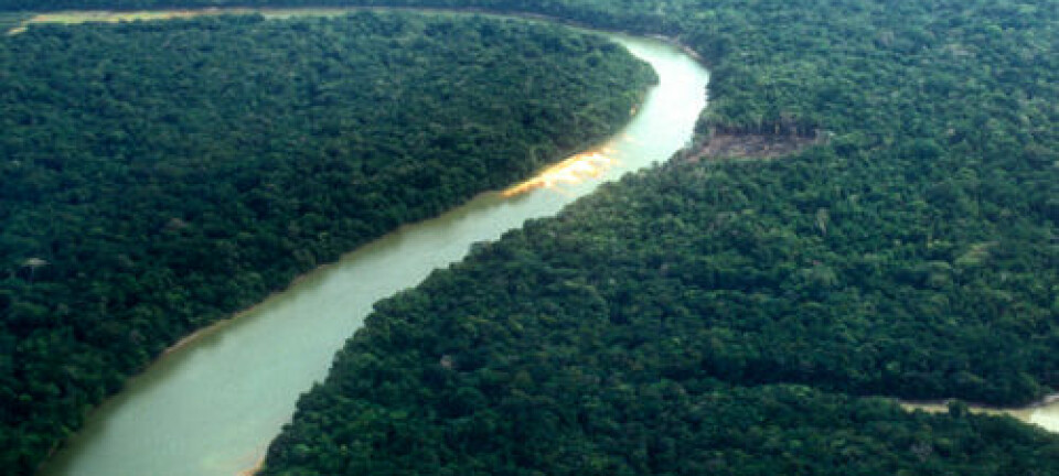 Amazonas. iStockphoto