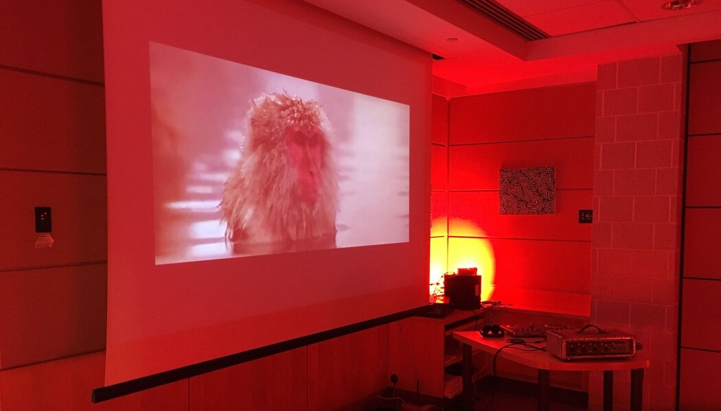 Forskerne rigget til rom som skulle simulere en psykedelisk fest med musikk, lys og video. Forskerne rigget til rom som skulle simulere en psykedelisk fest med musikk, lys og video.