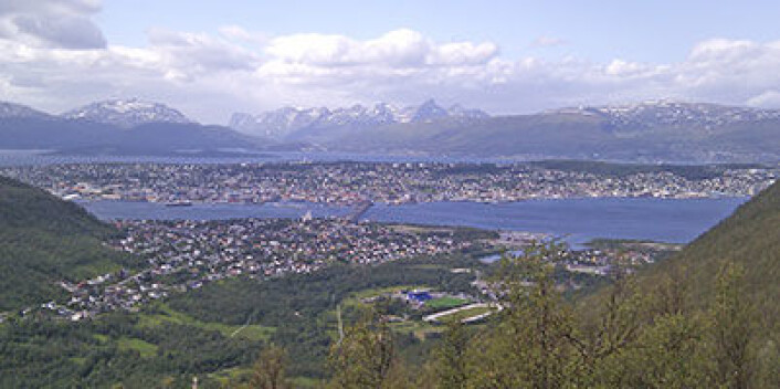 Torsken forskerne fra NILU ved Framsenteret hentet prøver fra ble fanget på to ulike steder: Ved Tromsøsund, like utenfor Tromsø by (bildet), og ved Nipøya, ca. 30 km nordøst for byen. (Foto: Eldbjørg S. Heimstad, NILU) Torsken forskerne fra NILU ved Framsenteret hentet prøver fra ble fanget på to ulike steder: Ved Tromsøsund, like utenfor Tromsø by (bildet), og ved Nipøya, ca. 30 km nordøst for byen. (Foto: Eldbjørg S. Heimstad, NILU)