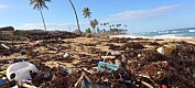 Sementfabrikker kan stanse forsøpling av havet