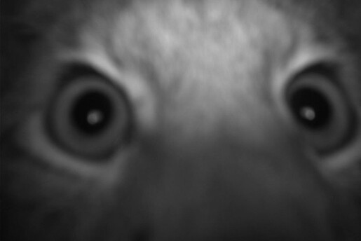 Forsiden - ung.forskning.no