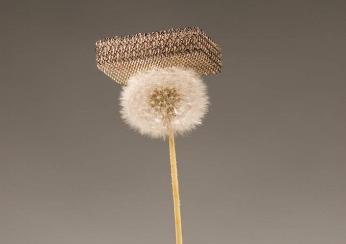 Dette nye materialet er for det meste luft, og så lett at det kan hvile på løvetannfluff. (Foto: Dan Little, HRL Laboratories LLC) Dette nye materialet er for det meste luft, og så lett at det kan hvile på løvetannfluff. (Foto: Dan Little, HRL Laboratories LLC)