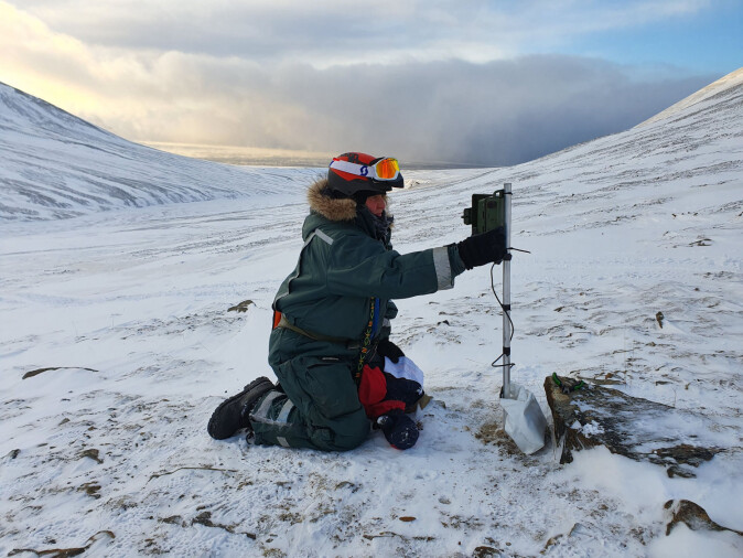 Forsker Åshild Ønvik Pedersen satte opp lytteboks utenfor Longyearbyen i mars i år. Forsker Åshild Ønvik Pedersen satte opp lytteboks utenfor Longyearbyen i mars i år.