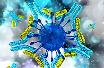 Forskningspodden: Antistoffer mot koronaviruset - den nye forskningsfronten
