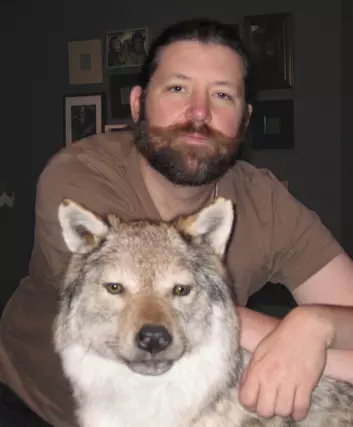 Zoologen Petter Bøckman har ikke hørt om snorkende ulver, her med en utstoppet variant. (Foto: privat)