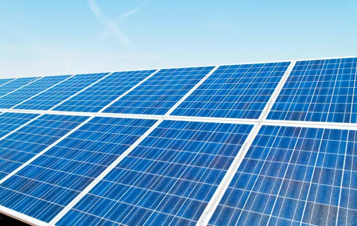 The plants' chlorophyll is only able to utilize between 1 and 2 per cent of the available energy in the sunlight. Commercial silicon solar cells are more effective but human engineers have not yet achieved the same reliability and longevity that evolution has produced.