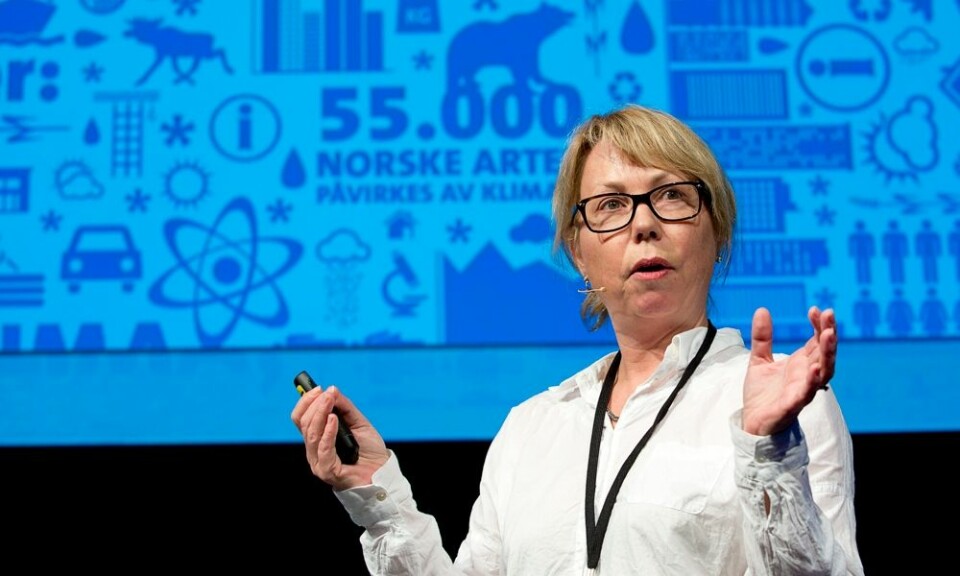 Gørill Kristiansen har ledet mye av arbeidet med Forskningsrådets store klimaforskningsprogram. Hun fortalte historier fra hva som foregår på ”innsiden” av et forskningsprogram i Forskningsrådet. (Foto: Thomas Keilman)