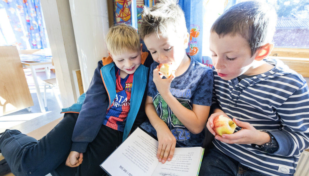 Gutter leser ikke så mye bøker som jenter gjør. Men de leser likevel mye annet. Kanskje bør de voksne være flinkere til å finne bøker som passer barn bedre? Gutter leser ikke så mye bøker som jenter gjør. Men de leser likevel mye annet. Kanskje bør de voksne være flinkere til å finne bøker som passer barn bedre?