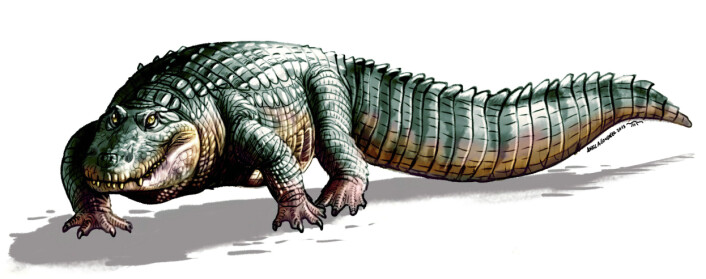 Crocodylus falconensis kunne bli over fire meter lang. (Foto: (Illustrasjon: UZH))