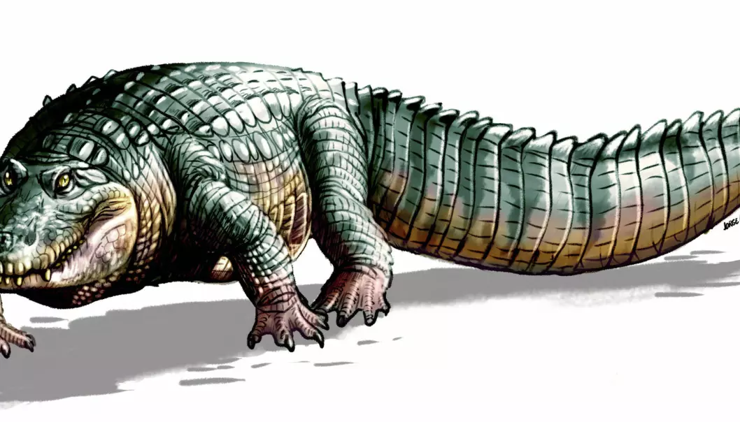 14 krokodillearter i urtidens Sør-Amerika