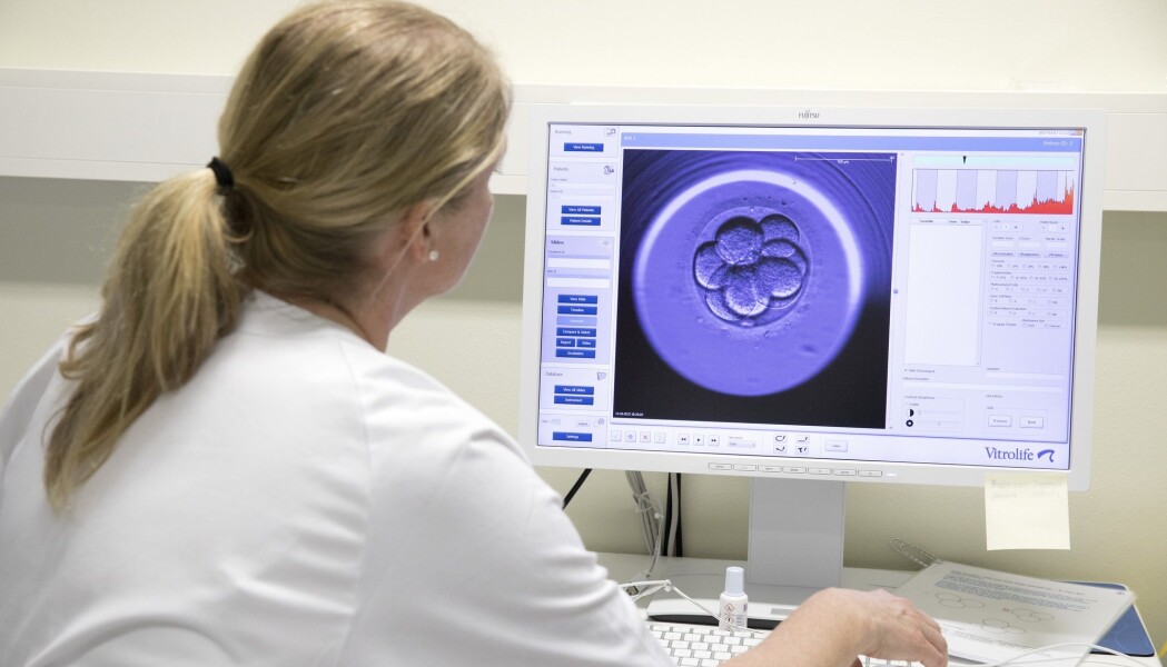 Et embryo vurderes til IVF. Men før egget i det hele tatt befruktes, kan ganske mye gå galt. Et embryo vurderes til IVF. Men før egget i det hele tatt befruktes, kan ganske mye gå galt.