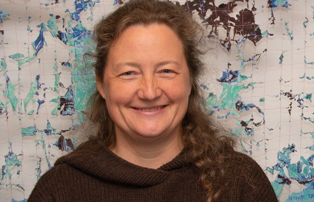Professor Valeria Schwanitz er ein av dei som skal forske på korleis forskingsdata på energi kan bli tilgjengeleg for fleire. Professor Valeria Schwanitz er ein av dei som skal forske på korleis forskingsdata på energi kan bli tilgjengeleg for fleire.