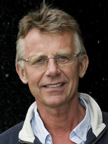 Willy Pedersen er professor i sosiologi ved Universitetet i Oslo. (Foto: UiO) Willy Pedersen er professor i sosiologi ved Universitetet i Oslo. (Foto: UiO)